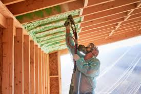 Best Spray Foam Insulation  in Bonduel, WI